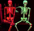 Skeleton Garden Skeletons