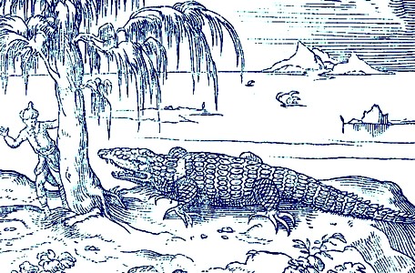 An Alligator Attack, 16th century
