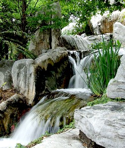 Stream in Chiinese Gardens