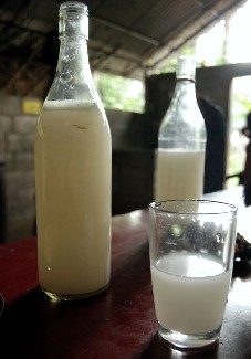 Palm Wine