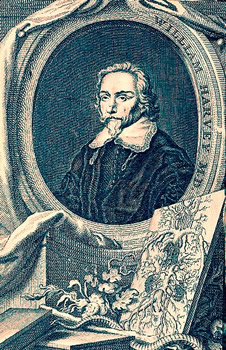 Physician William Harvey
