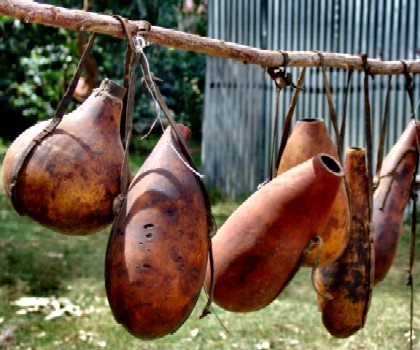 Dried Calabash Gourds
