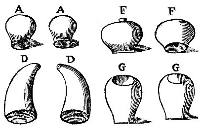 Cupping Vessels of Different Material