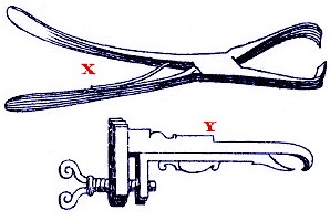 Cutting Forceps, Dionis