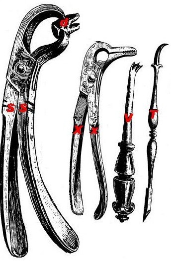 Guillimeau's Dental Instrumens S - X