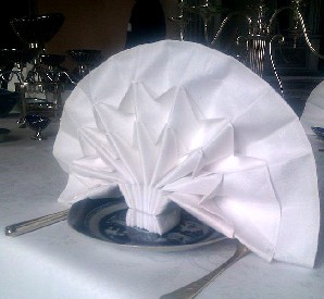 A dinner napkin