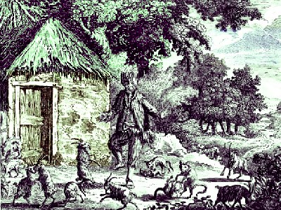 Alexander Selkirk's hut and animals