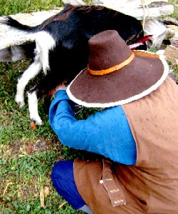 The author milking a goat