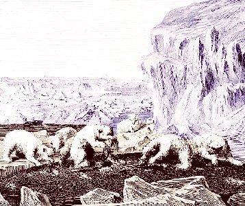 Polar Bears Eating
