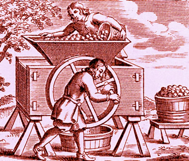 Making Cider 17th century