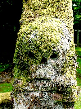 Skull on Gravestone