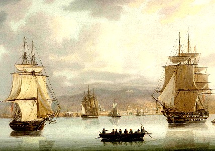 Ships in Port