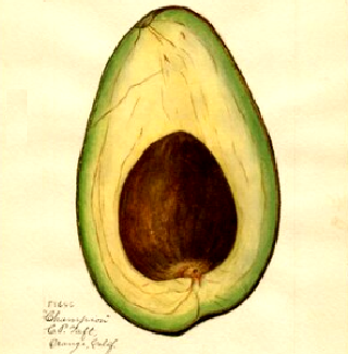 The Pirate Surgeon's Journal: Golden Age of Piracy: Food By Sailor Type ...