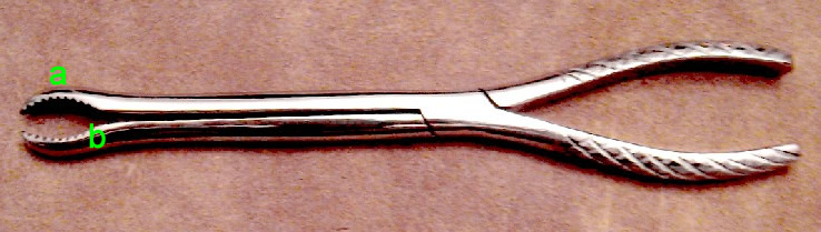 Mission's Extraction forceps